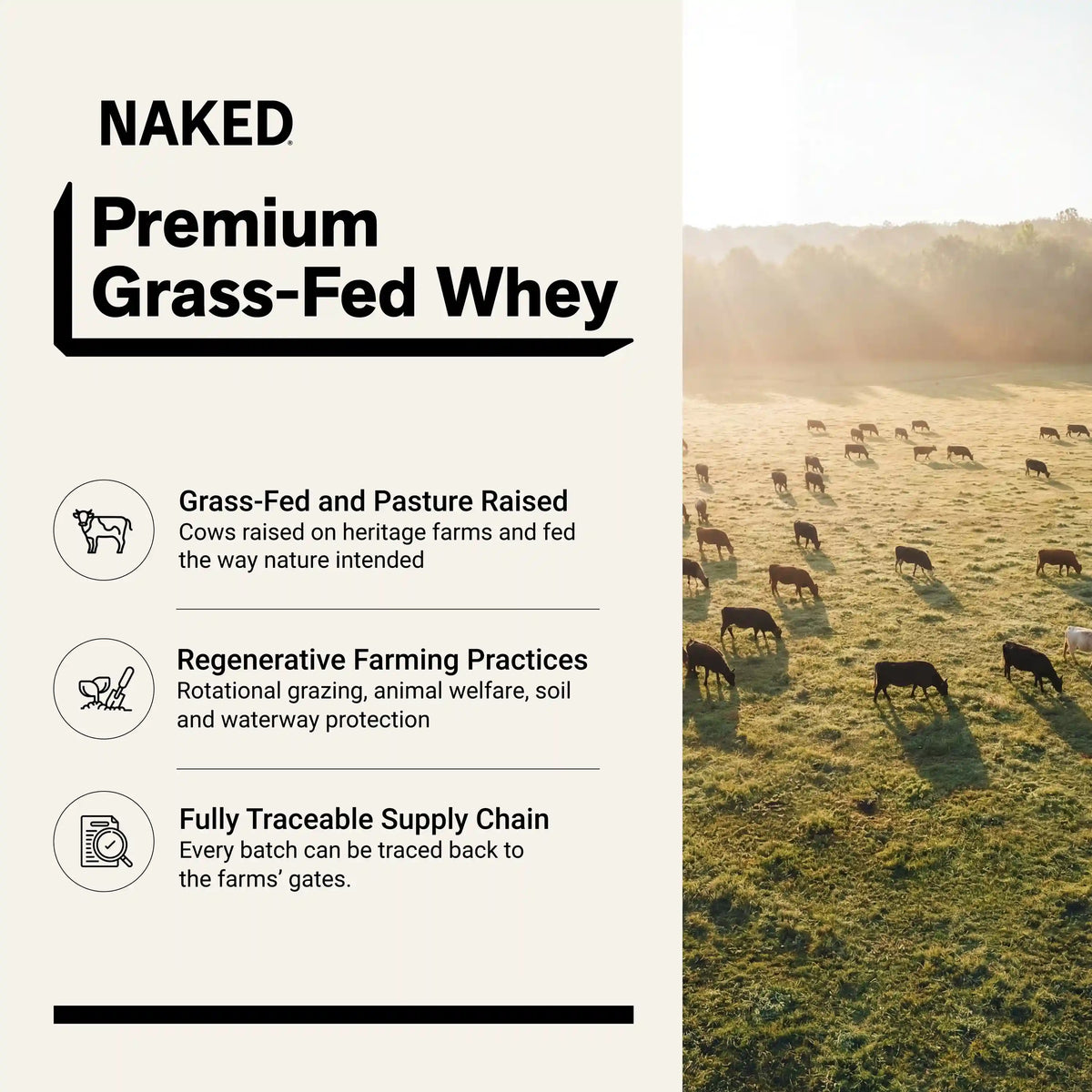 Chocolate Whey Protein Powder 1lb | Naked Chocolate Whey - 1LB