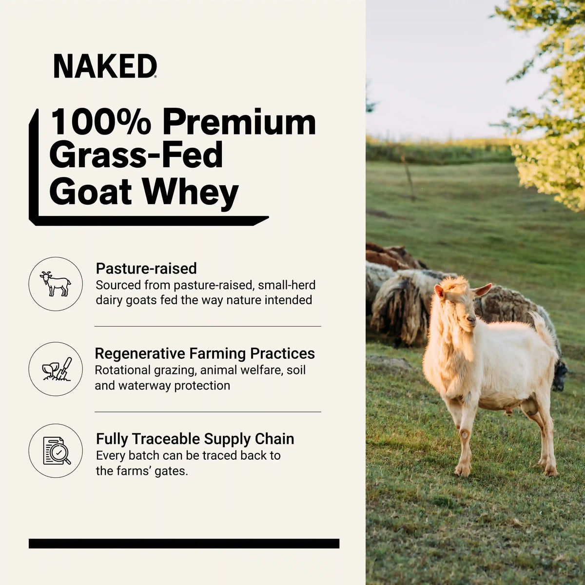 Chocolate Goat Whey Protein Powder | Naked Goat - 2lb