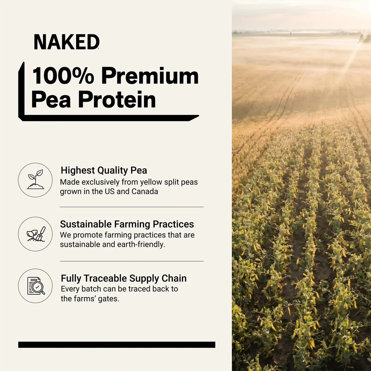 Chocolate Pea Protein Powder | Naked Chocolate Pea - 1LB